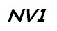 nVidia NV1